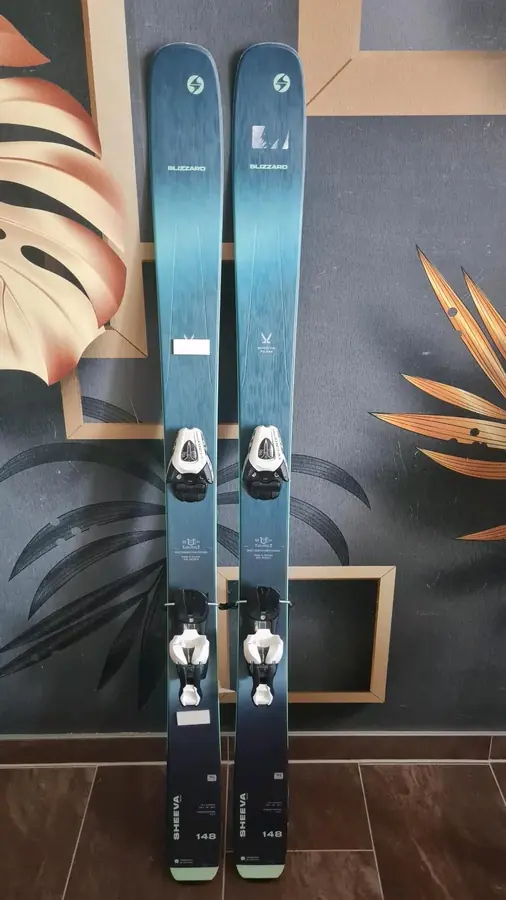 Damenski Blizzard Sheeva in 148 cm
