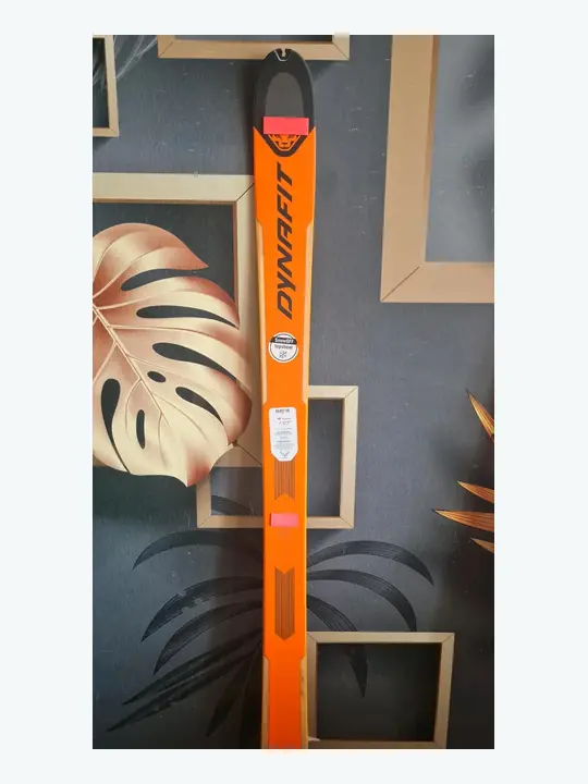 Tourenski Dynafit Beast 98 in 170, 184 cm