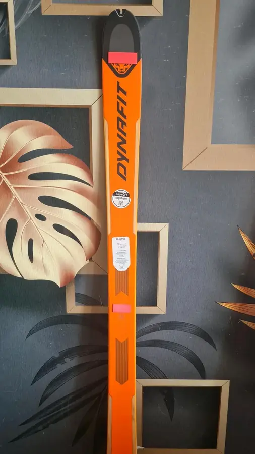 Tourenski Dynafit Beast 98 in 170, 184 cm